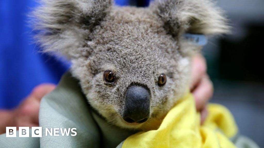 PeterEgan6's tweet card. Populations will be ravaged by habitat loss and climate change without urgent action, a report finds.