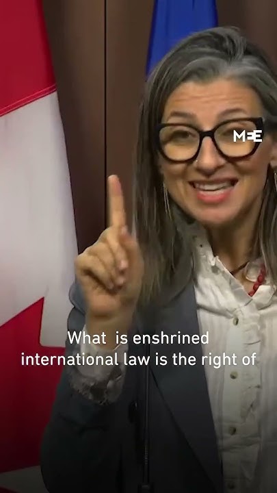 HOSKsClips's tweet card. Francesca Albanese shuts down reporter question on whether Israel has...