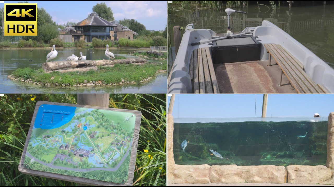 agileSeong's tweet card. [4K HDR] Bird Zoo | Wetland Centre WWT | Arundel