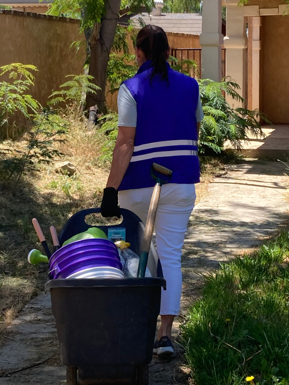 Community2_0's tweet card. 301 Organics offers eco-friendly composting services aimed at revitalizing soil health. Specializing in post-fire soil restoration, residential composting, and educational programs, we promote...