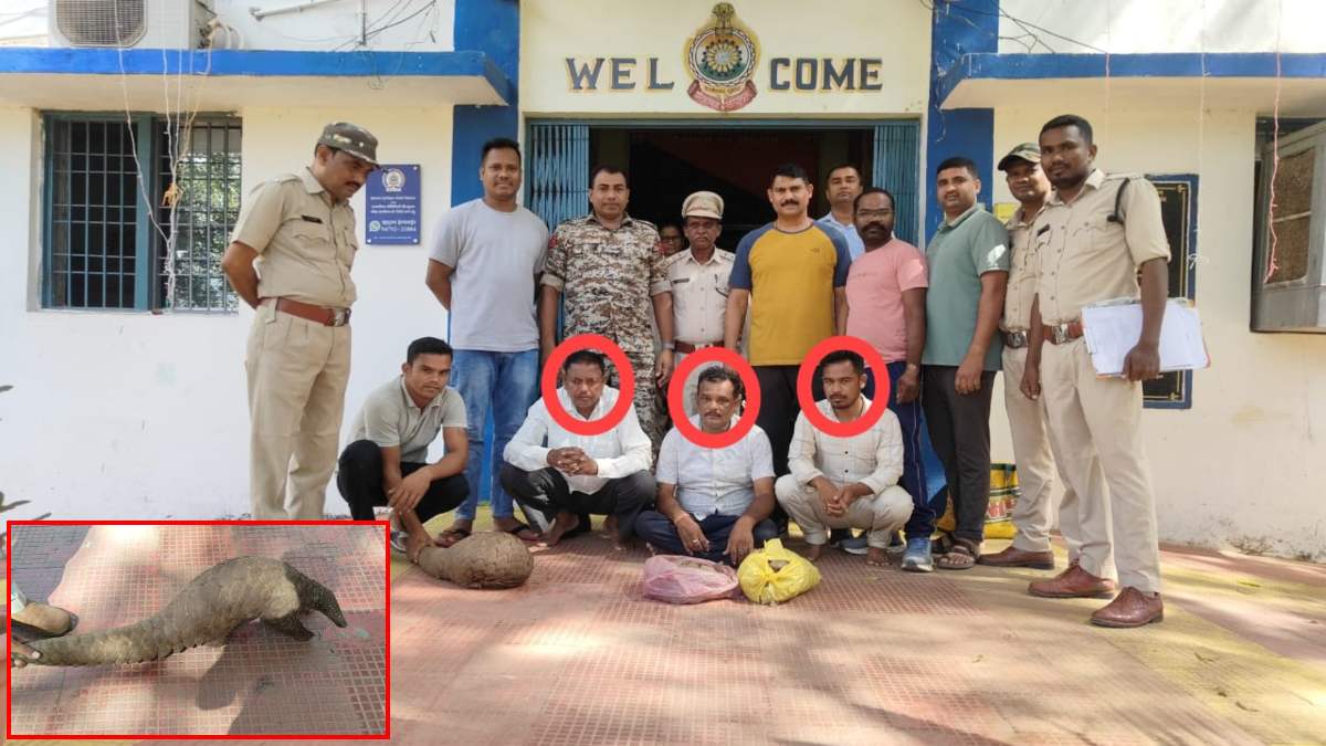 lalluram_cg's tweet card. पुलिस ने बड़ी सफलता हासिल करते हुए अंतरराज्यीय स्तर पर सक्रिय वन्यजीव तस्करी गिरोह का पर्दाफाश किया है. थाना देवभोग और साइबर टीम की संयुक्त कार्रवाई में तीन तस्करों को गिरफ्तार किया गया है.