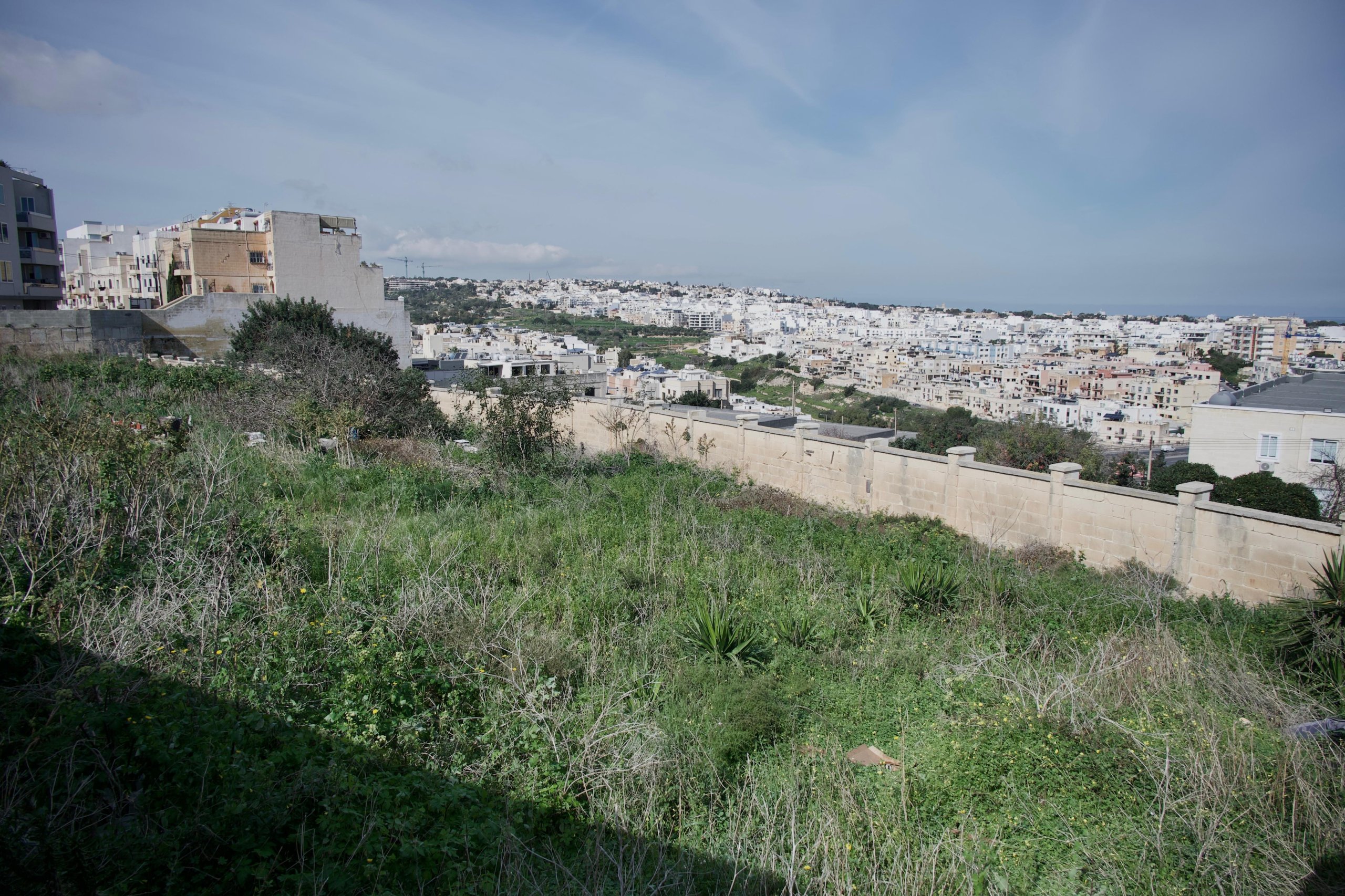 Newsbook_com_mt's tweet card. Work on the Ta' Giorni Urban Greening Project has been suspended indefinitely after a court granted a prohibitory injunction against Project Green and the Lands Authority over a land ownership...