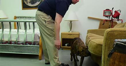 ResourceBedBug's tweet card. For anyone who has dealt with the irritating bites of bedbugs, that cute little rhyme about not letting “the bedbugs bite” is anything but cute.