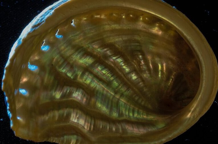 ChemistryNews's tweet card. Most people know mother-of-pearl, an iridescent biomineral also called nacre, from buttons, jewelry, instrument inlays and other decorative flourishes. Scientists, too, have admired and marveled at...