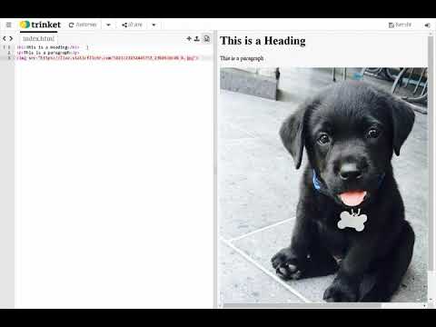 SpencerCoding's tweet card. Learn HTML & CSS & make your own website