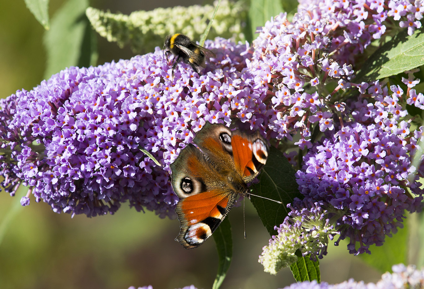 polyttajat's tweet card. Aika: to 21.11.2024 klo 9.00–11.00 Paikka: Teams, linkki lähetetään ilmoittautuneille [...]