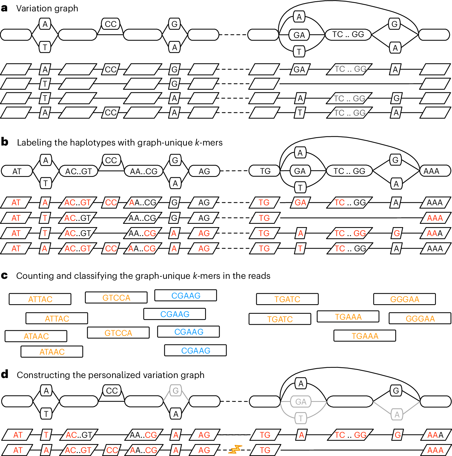 jsantoyo's tweet card. Nature Methods - This work introduces a k-mer-based approach to customizing a pangenome reference, making it more relevant to a new sample of interest. This method enhances the accuracy of...