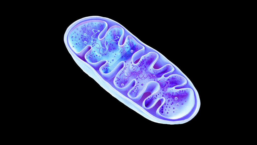 NIH's tweet card. NYU Langone researchers have helped an 8-year-old boy regain mobility using an experimental treatment.