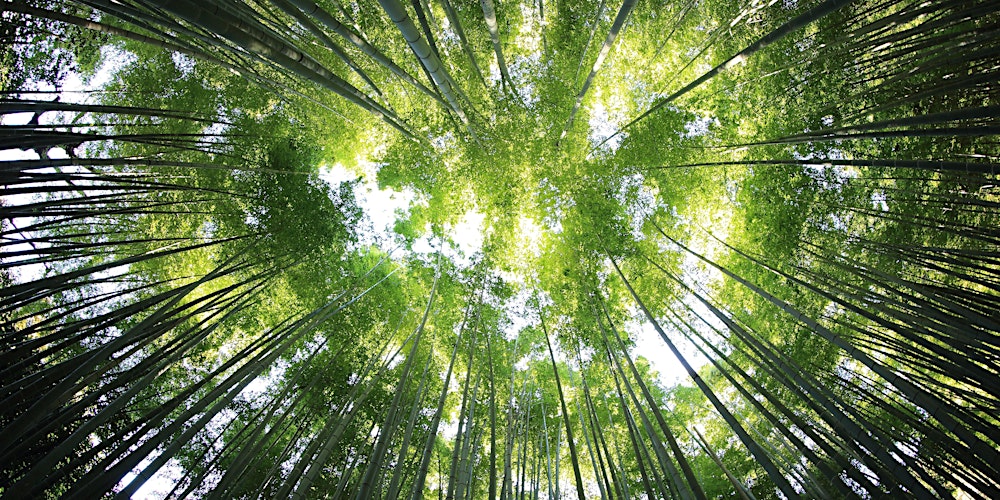 Music_bod's tweet card. A Birmingham Music Education Research (BMERG) seminar with award winning British composer and educator Philip Herbert.