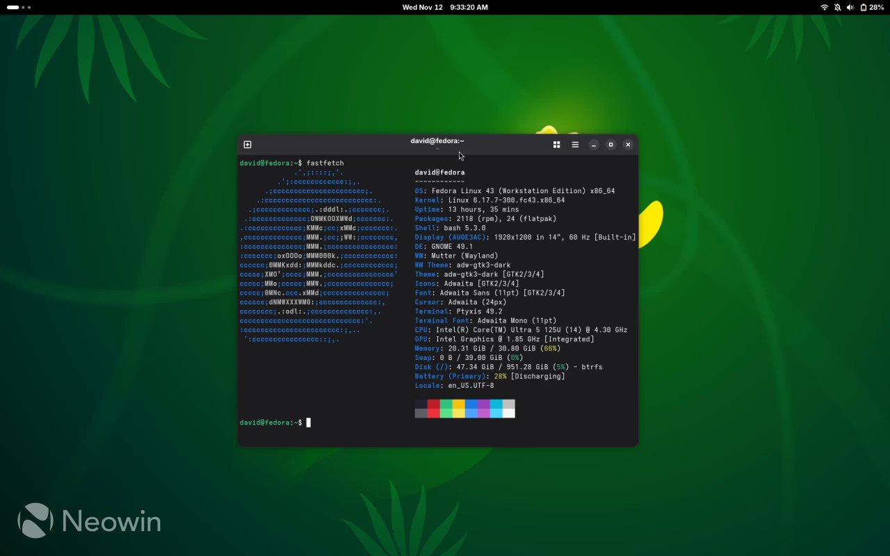 NeowinFeed's tweet card. Fastfetch, the popular Neofetch replacement, has been updated to version 2.55 with dynamic output refreshing, native GPU detection on OpenBSD, and other improvements.