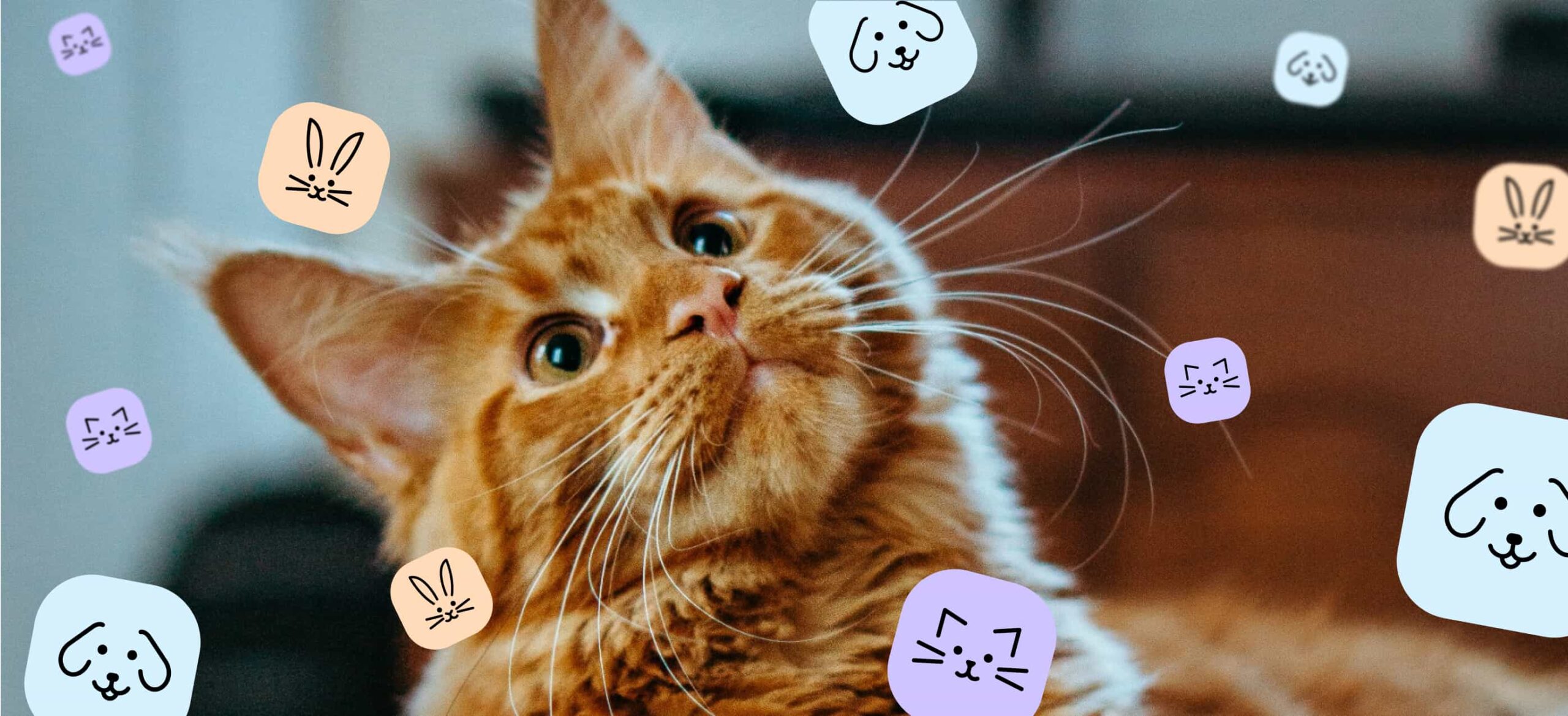 WeAre_Framework's tweet card. Maintaining customer engagement is paramount for e-commerce websites. It not only influences brand perception but also directly impacts the customer journey and their chance of conversion. It...