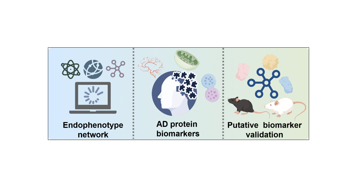 JCIM_JCTC's tweet card. Alzheimer’s disease (AD) is the most common neurodegenerative disease burdening public health. We proposed a network-based infrastructure to identify protein signatures for five AD pathological...