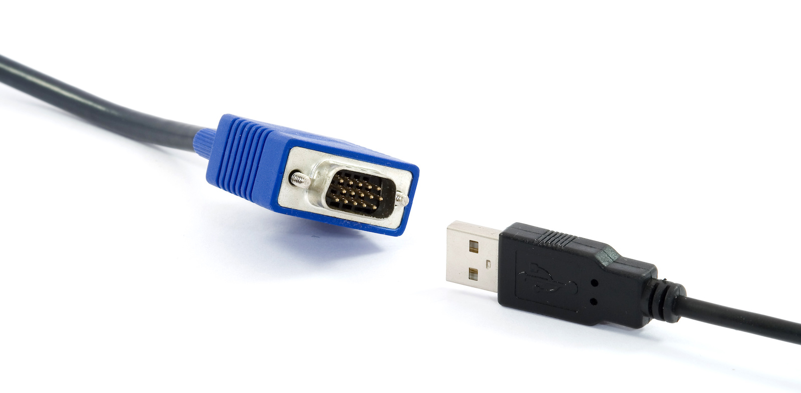 danieldennett's tweet card. Identitarian: A person or ideology that espouses that group identity is the most important thing about a person, and that justice and power must be viewed p ...