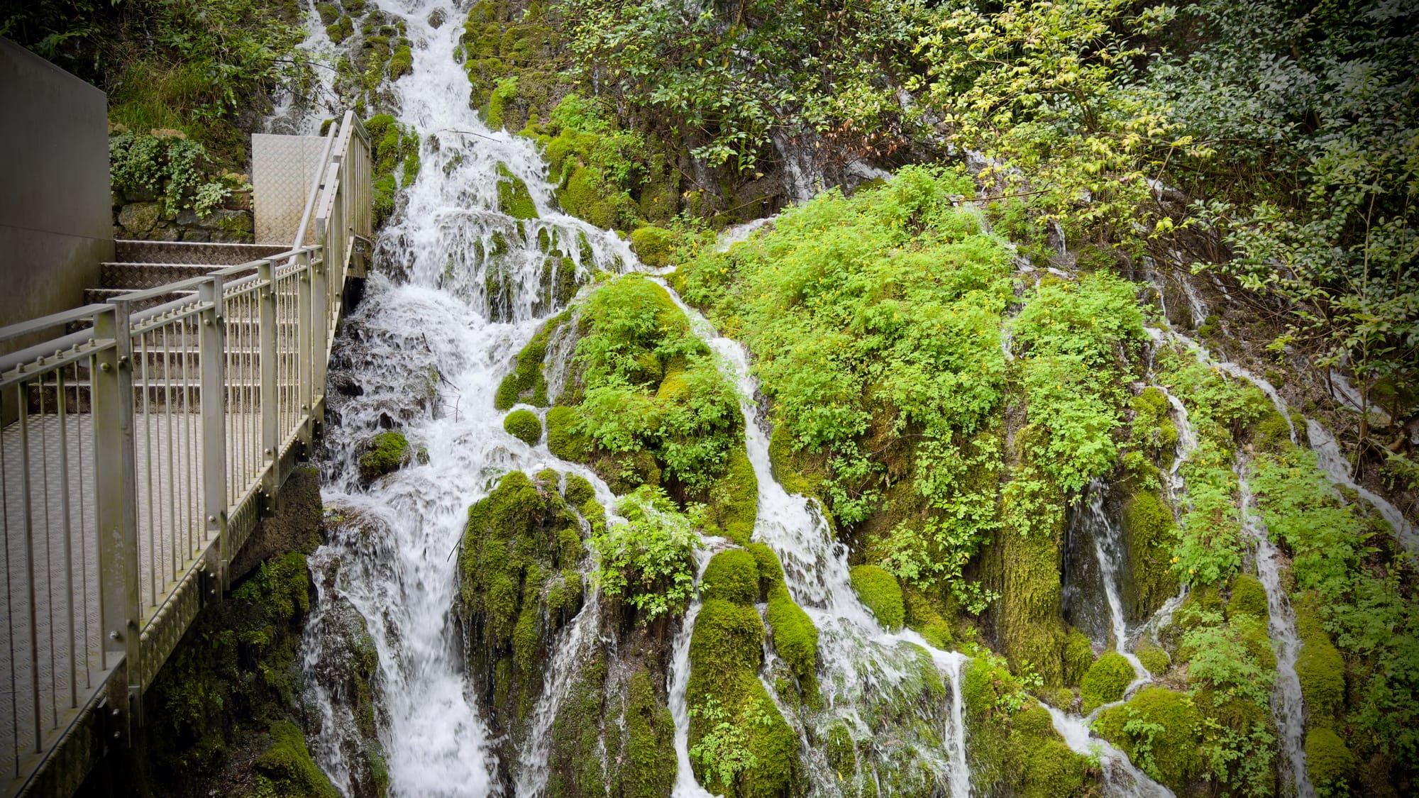 VKazulkin's tweet card. Learn the science behind developer flow states and implement practical strategies to increase your engineering team's focus, productivity, and satisfaction.