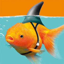 Tweet card summary image