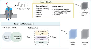 RNASeqBlog's tweet card. DirectRM - integrated detection of landscape and crosstalk between multiple RNA modifications using direct RNA sequencing
