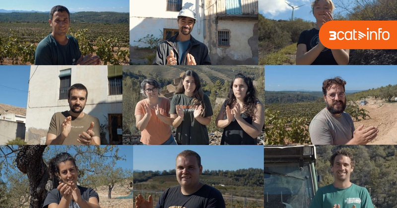 Tweet card summary image