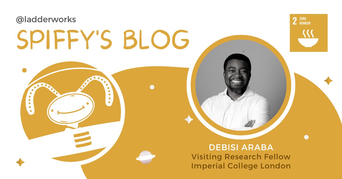 DebisiAraba's tweet card. Debisi Araba: Making Food Available and Affordable For Everyone