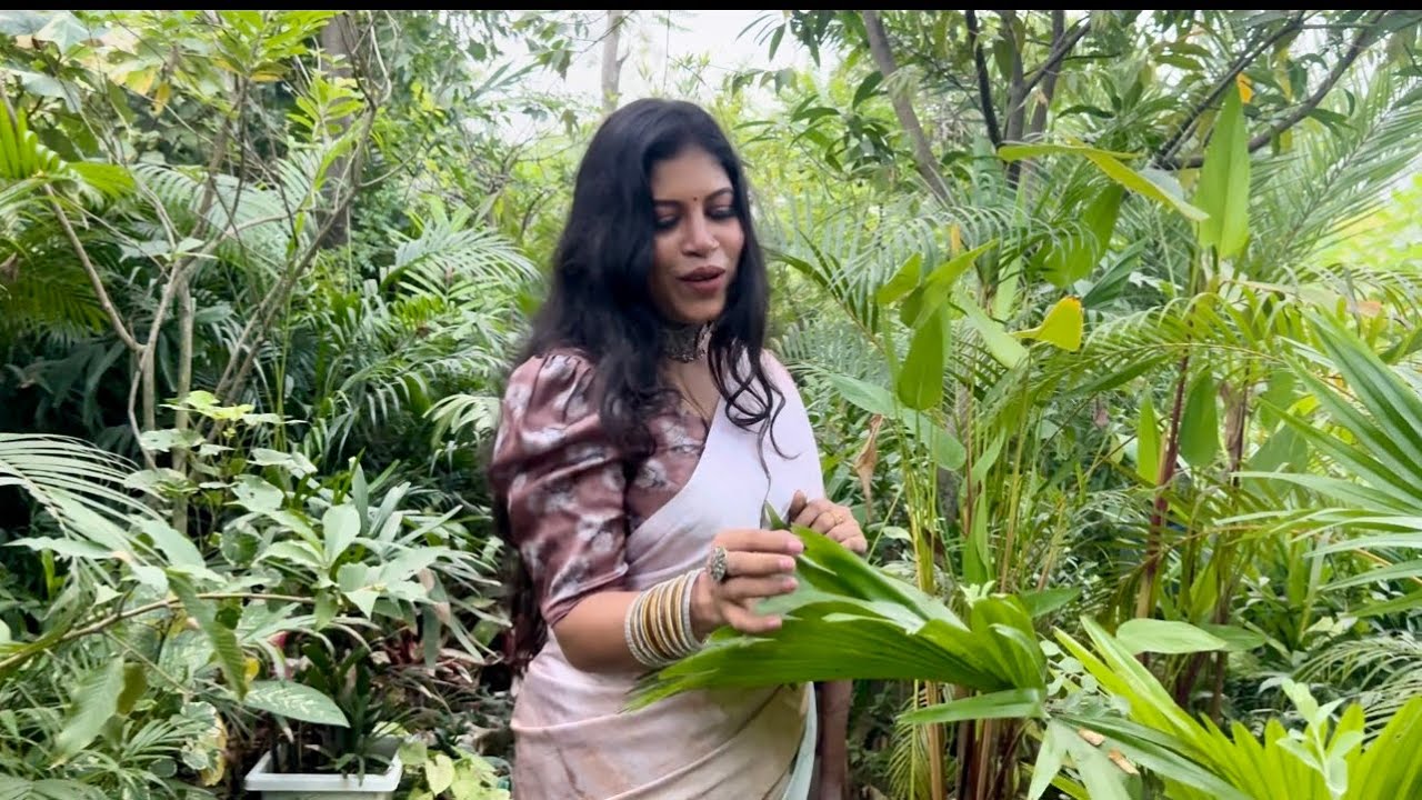 rashed's tweet card. মনটা যদি খোলা যেত, মূল শিল্পী- শ্রদ্ধেয় সাবিনা ইয়াসমিন।চন্দন দীপ এর...