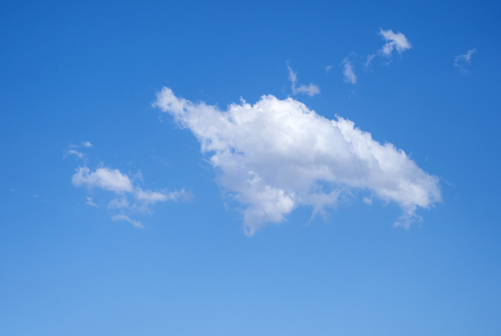 TechCrunch's tweet card. Excitement for Bluesky has been climbing in recent weeks thanks to a combination of exclusivity and the culture its community is creating.