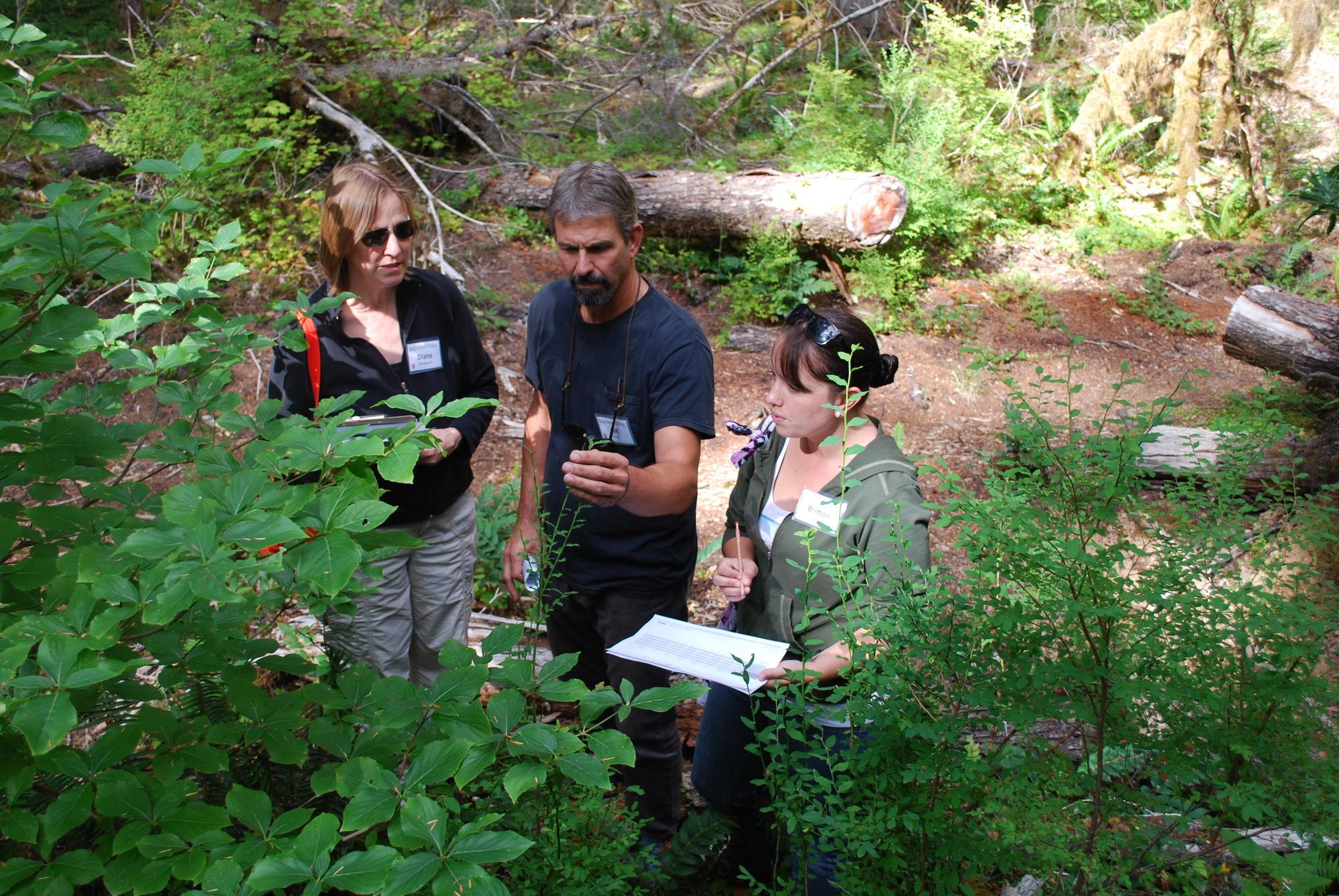 OSUExt's tweet card. Oregon Season Tracker aims to link natural resource managers, educators, researchers and others through collaborative community science. We seek to understand weather patterns and how plants and...