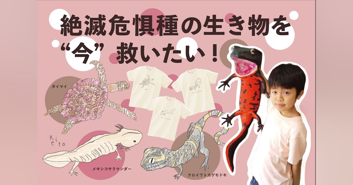 ossam's tweet card. 両生類と爬虫類が大好きな小学5年生の島﨑圭斗です！環境汚染で生きる場所が奪われている絶滅危惧種を救いたいと思い、今回のクラウドファンディングに挑戦します。自分で描いた生き物の絵をプリントしたグッズ(とてもかわいいです)を販売し、売上を日本両棲類研究所での保護活動の資金にします！