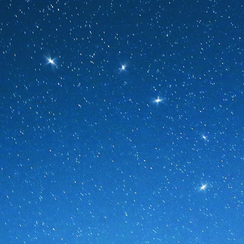 codatrigger's tweet card. big chipper