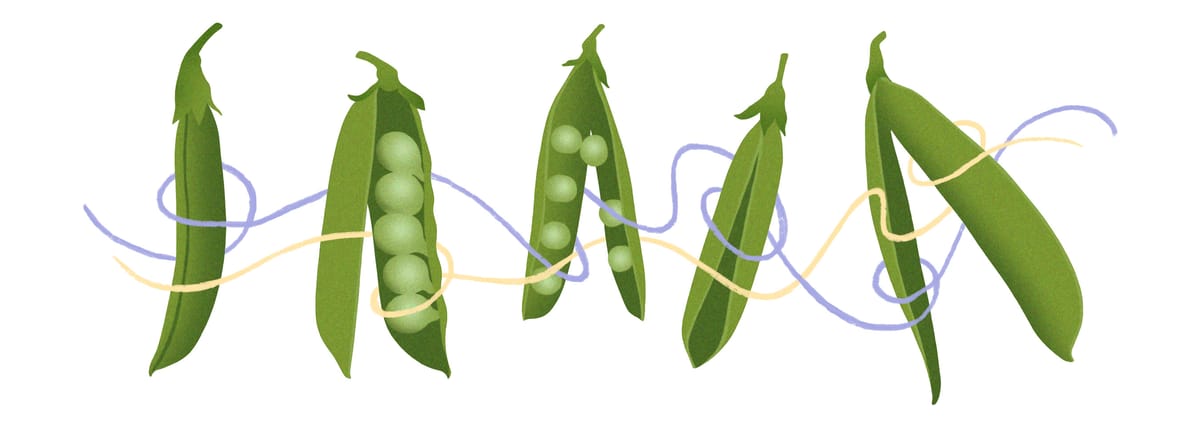 ShortReadsOrg's tweet card. by Anne Visser Ney | Unexpected sweetness.