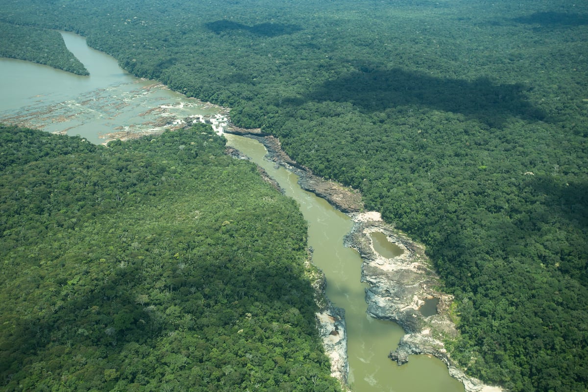 Planeta_Futuro's tweet card. Dos periodistas locales relatan cómo una empresa canadiense lleva años intentando extraer el oro y otros ricos minerales del territorio indígena colombiano de los Jaguares del Yuruparí. Robin, de la...