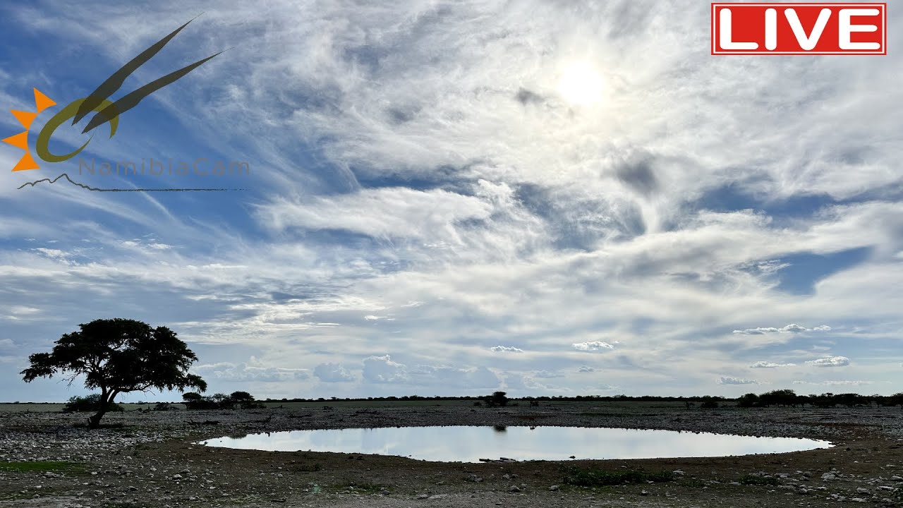 yokuyama's tweet card. Namibia: Live stream at the Okaukuejo waterhole in Etosha National...