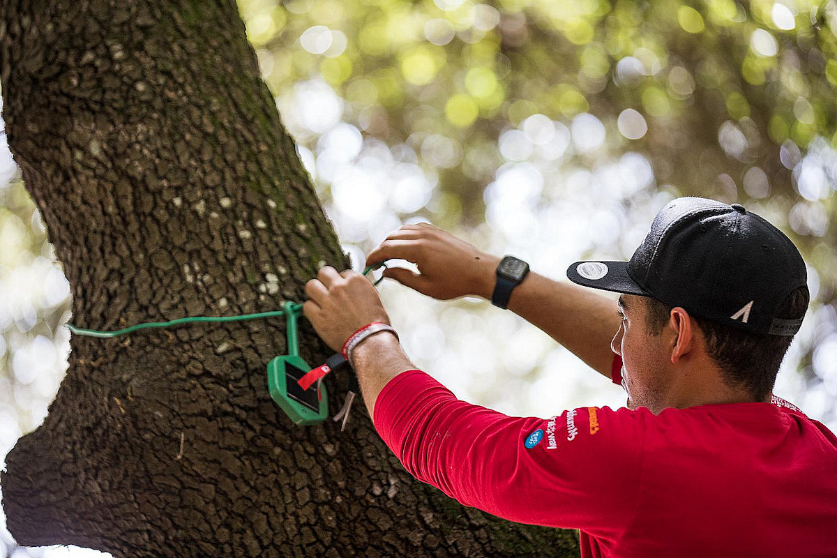 _Raspberry_Pi_'s tweet card. Vodafone Business y Extreme E completan con éxito la prueba de la tecnología de prevención de incendios forestales