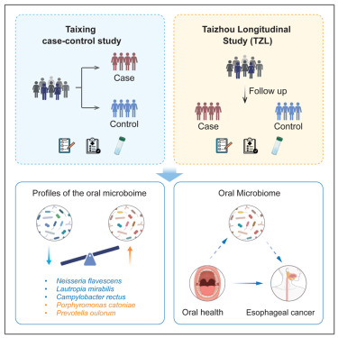 CellRepMed's tweet card. Gao et al. report a series of oral microbial signatures associated with EC risk and illustrate the interplay between poor oral health and the oral microbiome in relation to EC. Microbiome-targeted...