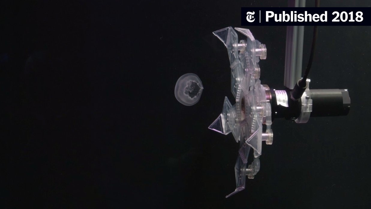 davidfgruber's tweet card. A new invention could help marine scientists study sea creatures in their natural habitat more effectively without harming them in the process.