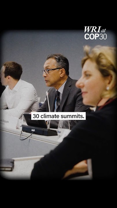 SpringbayStudio's tweet card. Why COP30 Brazil Matters