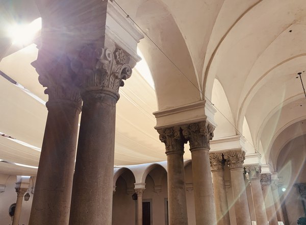 Caltech's tweet card. Virologist James H. Strauss Jr., the Ethel Wilson Bowles and Robert Bowles Professor of Biology, Emeritus, passed away.