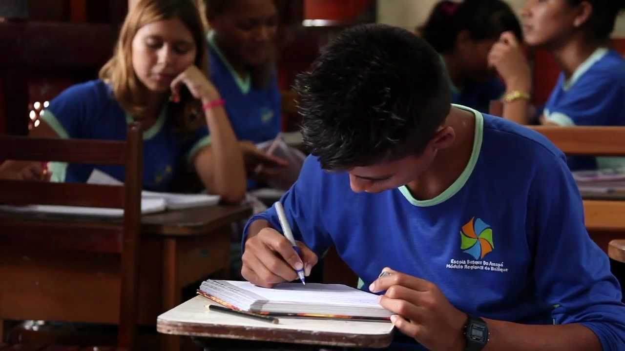 lucapi's tweet card. Bailique, a Amazônia que funciona