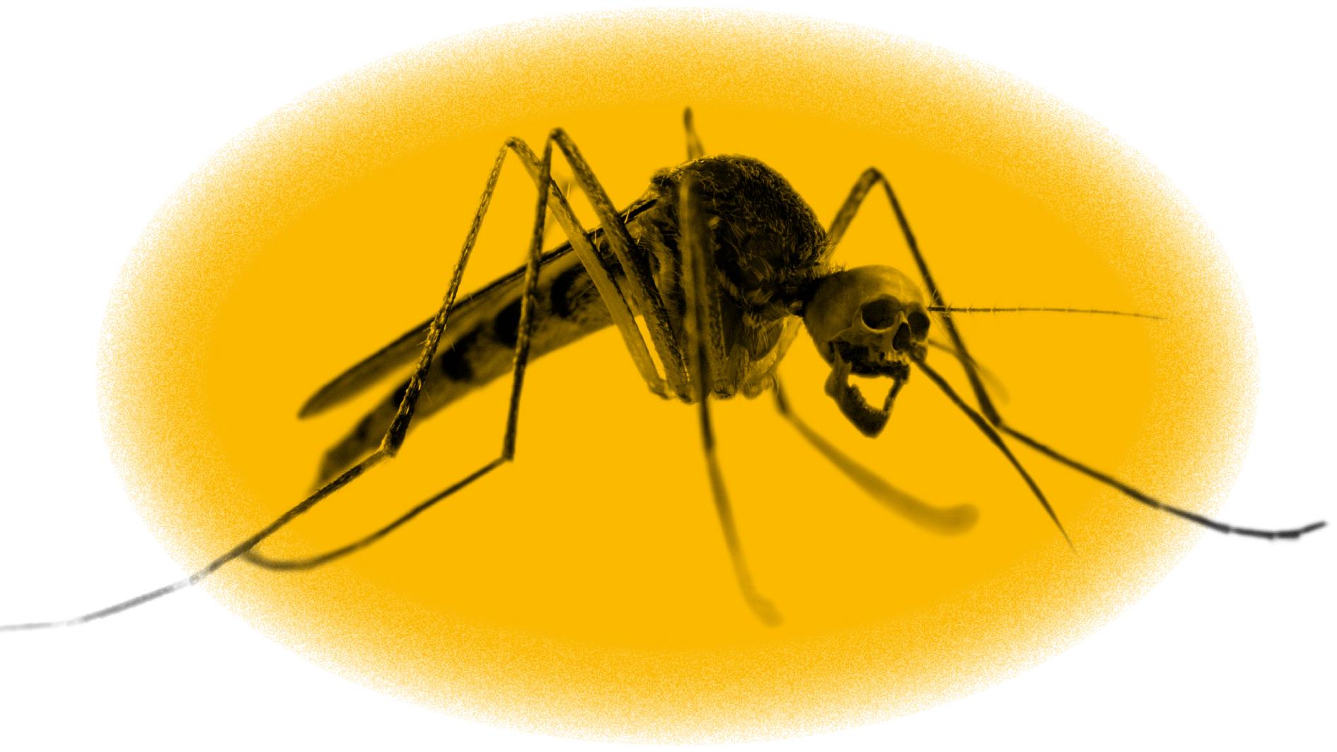 TheEconomist's tweet card. When yellow fever devastated Philadelphia in 1793 it prompted a fraught discussion about race. What happened next?