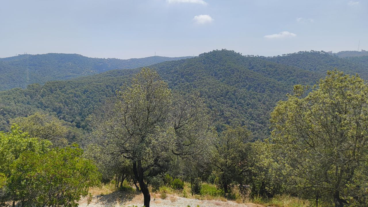cugatmedia's tweet card. Sant Cugat és un dels municipis del Vallès Occidental que aquest dimarts es troba en risc alt d’incendi segons el Pla Alfa, el mapa que elabora la Direcció General dels Agents Rurals.