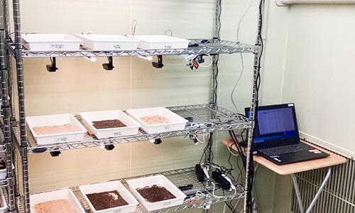 IntelliRobo's tweet card. グローバル・メディア・スタディーズ学部の小林透教授の共同研究で廃棄物を活用した昆虫生産方法の特許を出願