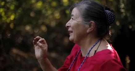 CPMeissner's tweet card. The Ye’yumnuts village near Duncan, B.C., is about to become a living Indigenous history lesson where the local school district will use the 2.4-hectare meadow as a place-based classroom.