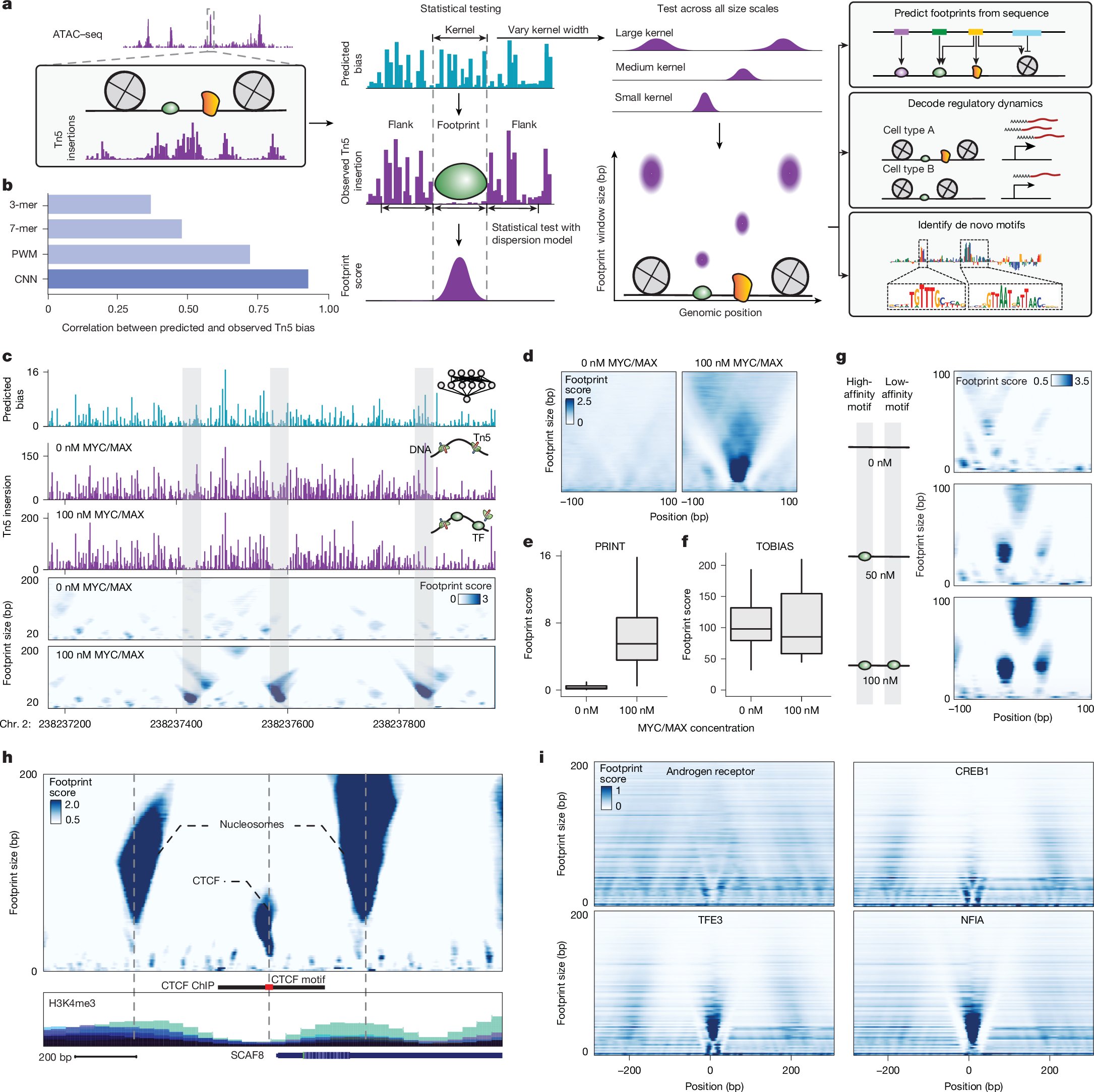 YanHu41082612's tweet card. Nature - We developed PRINT, a computational method that identifies footprints of DNA–protein interactions from bulk and single-cell chromatin accessibility data across multiple scales of...