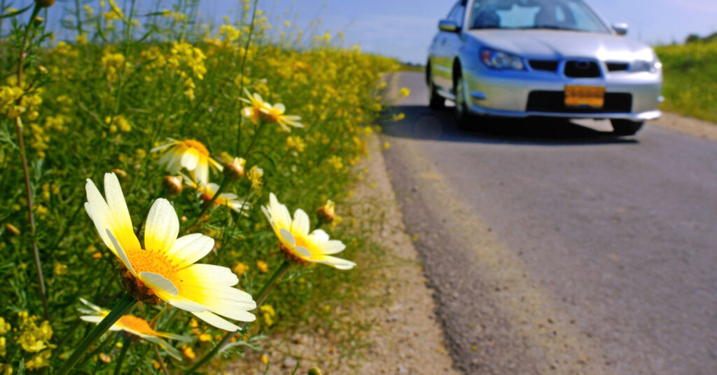 CACEcenter's tweet card. Much of my work with CACE involves Christian Deeper Learning in one form or another. I have had the opportunity to facilitate workshops with EL Education , Project Based Learning, Redemptive Educat...