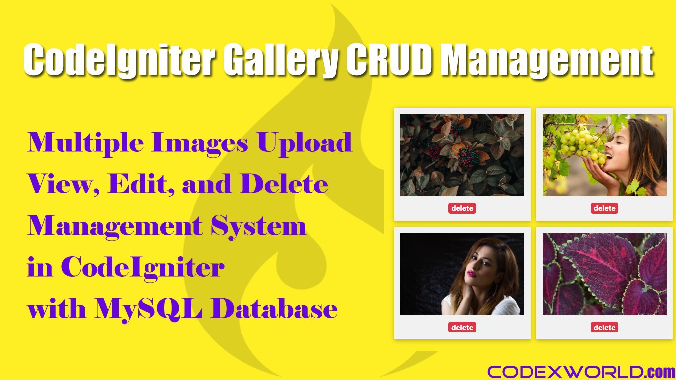 codexworldweb's tweet card. CodeIgniter gallery images management - Upload multiple images and manage files in CodeIgniter. Gallery CRUD to manage multiple image upload with the view, edit, delete in CodeIgniter framework.