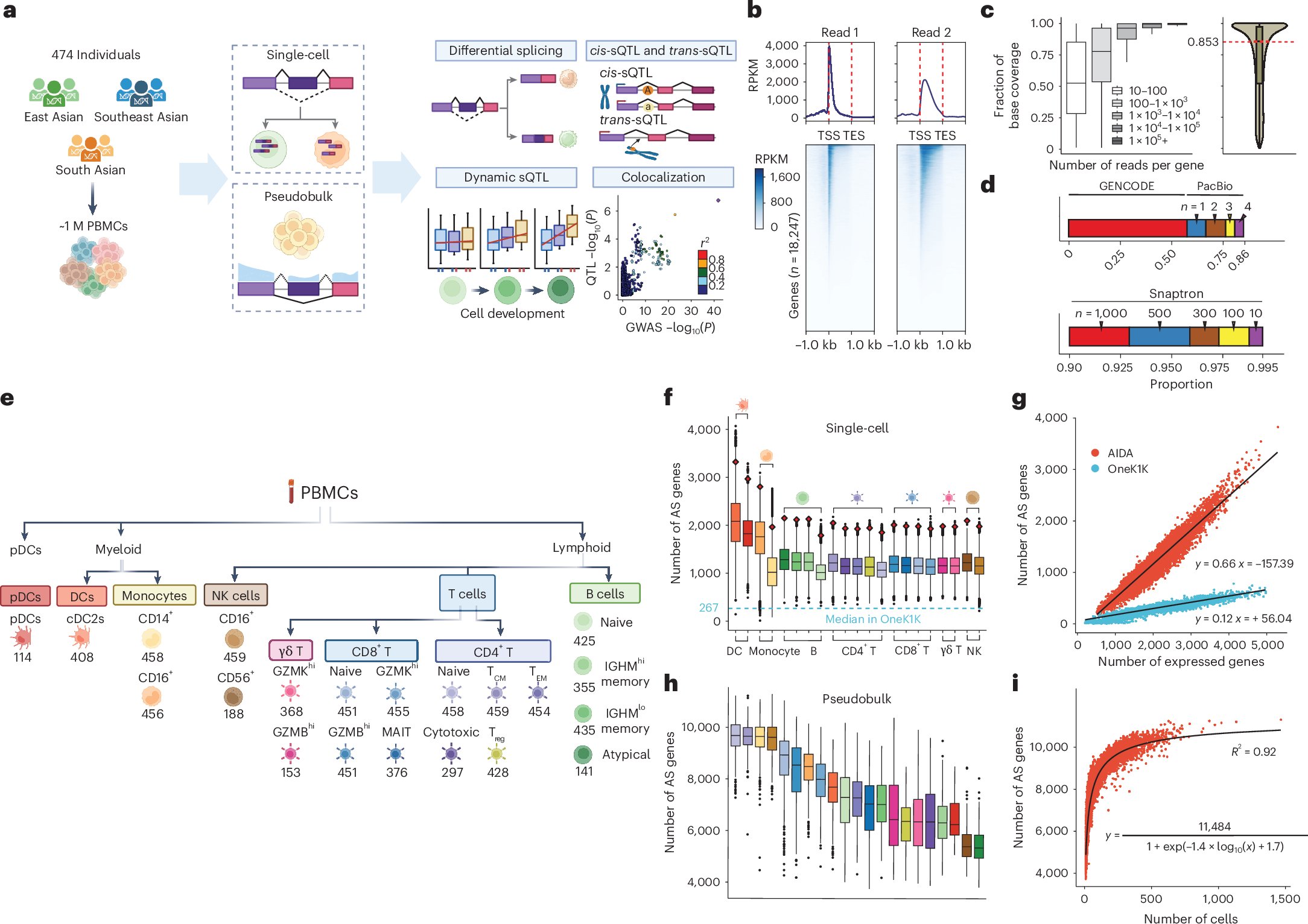 boxiangliu's tweet card. Nature Genetics - This analysis of single-cell RNA sequencing data from peripheral blood mononuclear cells for 474 individuals of diverse Asian ancestries in the Asian Immune Diversity Atlas links...