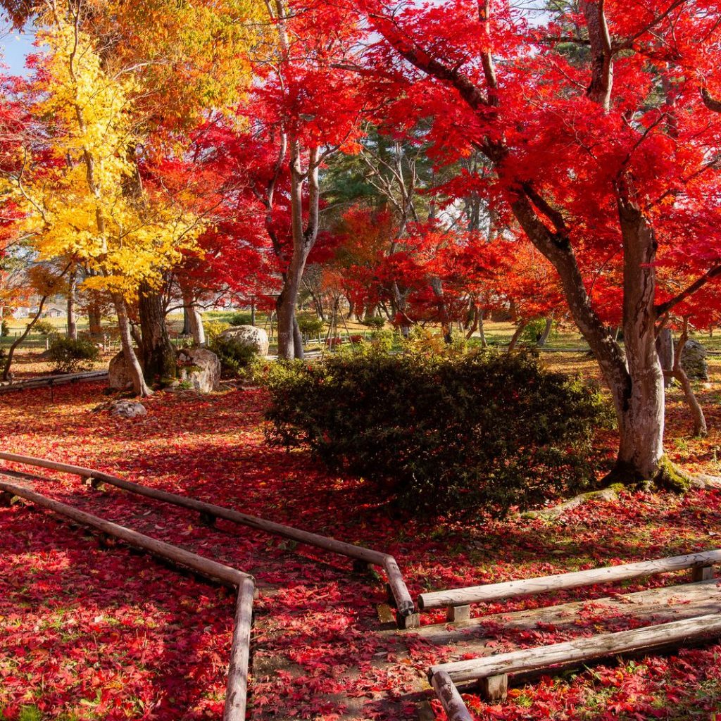 TheorideTech's tweet card. こんにちは。田原です。今回は前回に引き続き、Signal/Slotのスレッド間通信機能について解説を進めます。SignalをSlotへconnectして使いますが、そのconnect方法とSignalを発行（emit）したスレッドによって通常のコールバック（直接呼出）かキュー経由の呼出（∋スレッド間通信）なのかが決まります。その決まり方がちょっと分かりにくいので今回はどのような時にキュー経由...