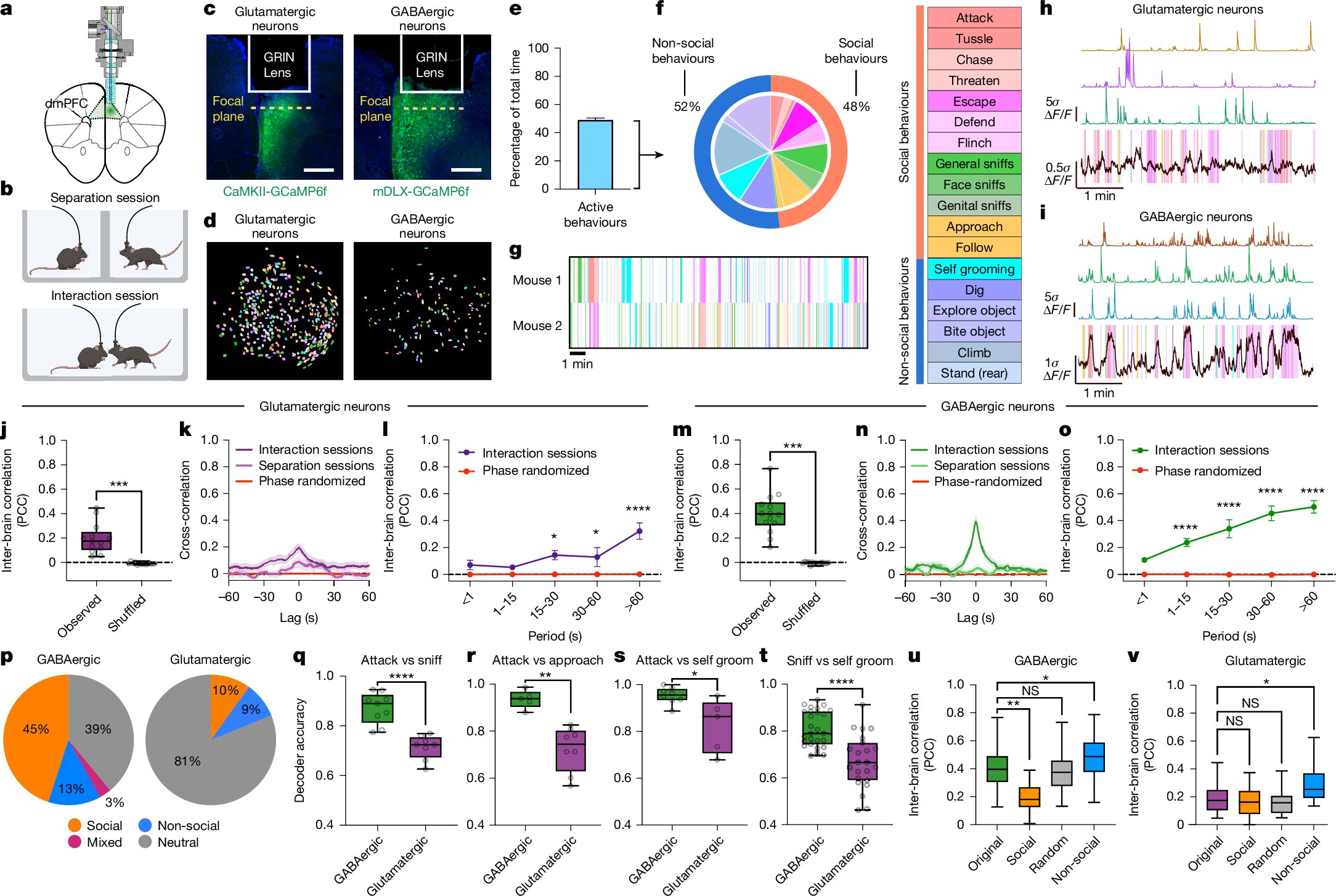 introspection's tweet card. Nature - Shared inter-brain neural dynamics, reflecting aspects of social interaction including self and other’s behaviours, arise in GABAergic neurons of the dorsomedial prefrontal cortex of...