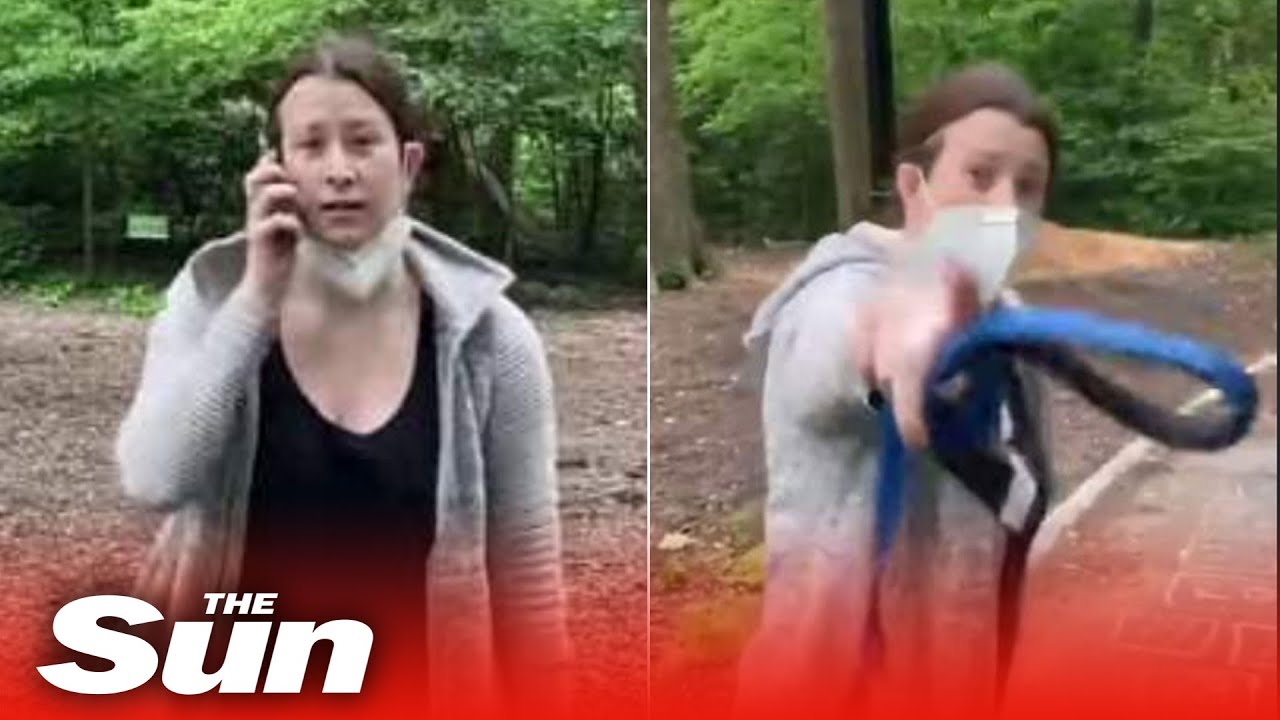 plotx123's tweet card. Frantic white woman calls police to report 'African-American threat...