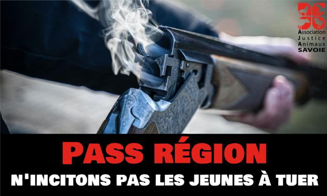 L214's tweet card. Animaux - Signez la pétition : N'incitons pas les jeunes à tuer : non au Pass région pour la chasse et la pêche !