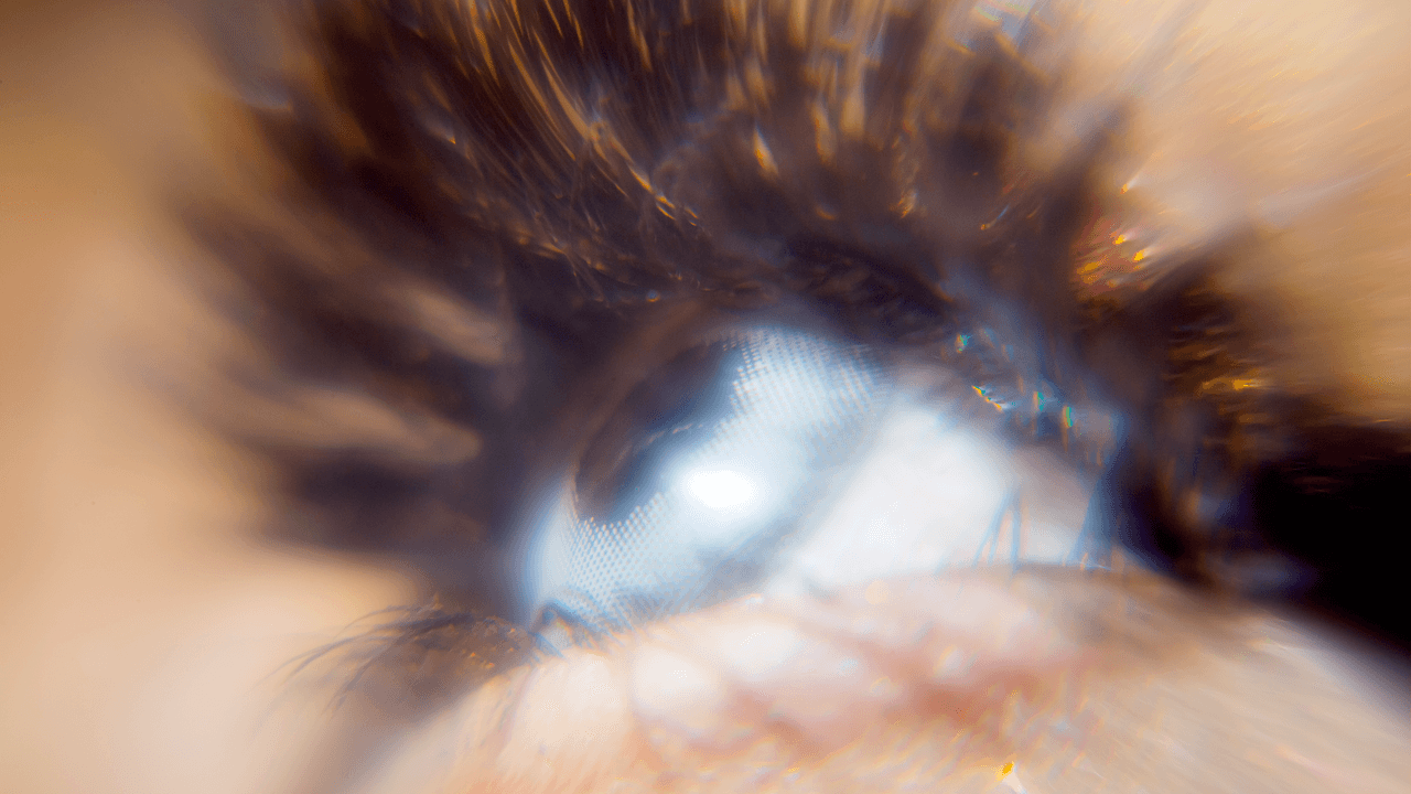 Saul_Projects's tweet card. Here’s a look back at our best video storytelling of 2017.