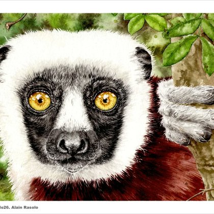 Tweet card summary image